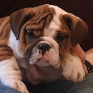 Meet your Posher, Erinn